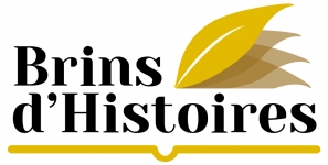 Brins d'Histoires Brins d'Histoires