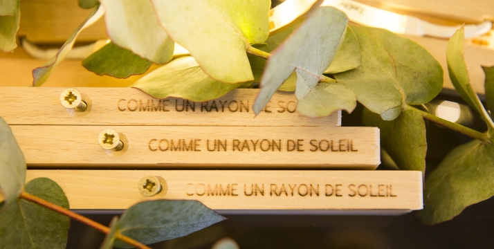 Comme un rayon de soleil Comme un rayon de soleil