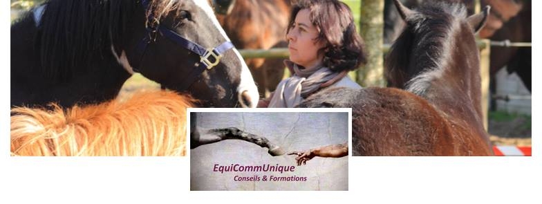 EquiCommUnique EquiCommUnique