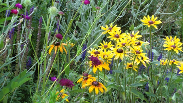 De la fleur au jardin De la fleur au jardin